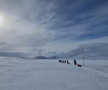 Grupp på skidor i jämtlandstriangeln