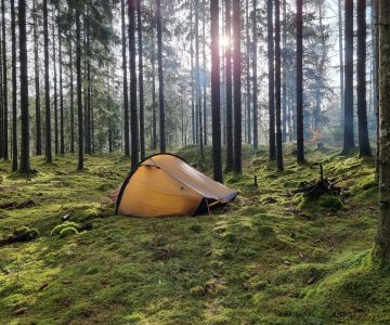 Solo i naturen en härlig känsla