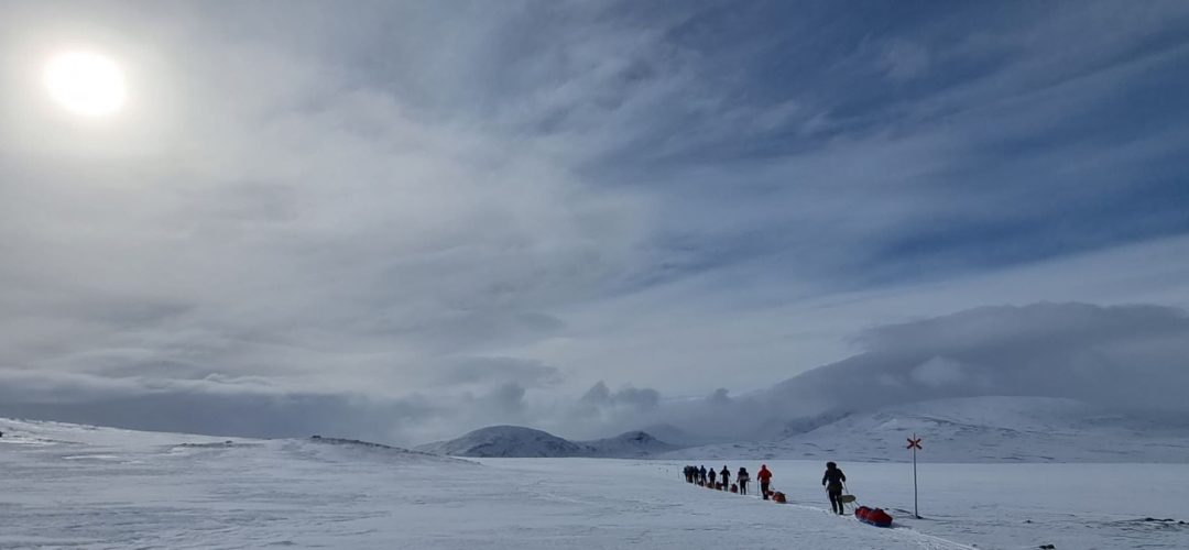 Turskidor_Vinterfjäll