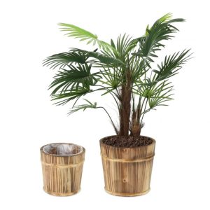 Blomkruka trä 2-pack