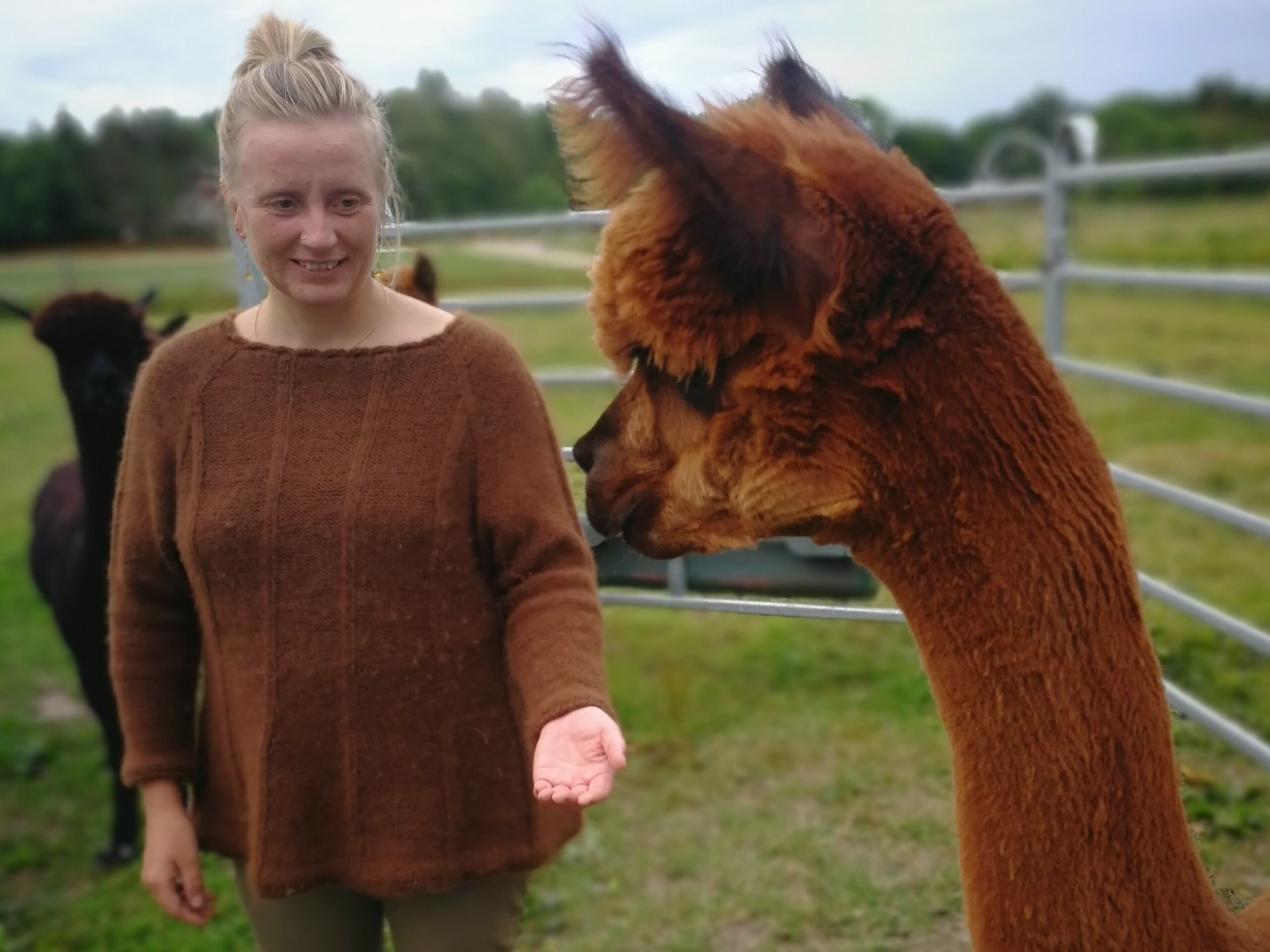 Garn, Håndspundet fra hver enkelt alpaca - Billede 2