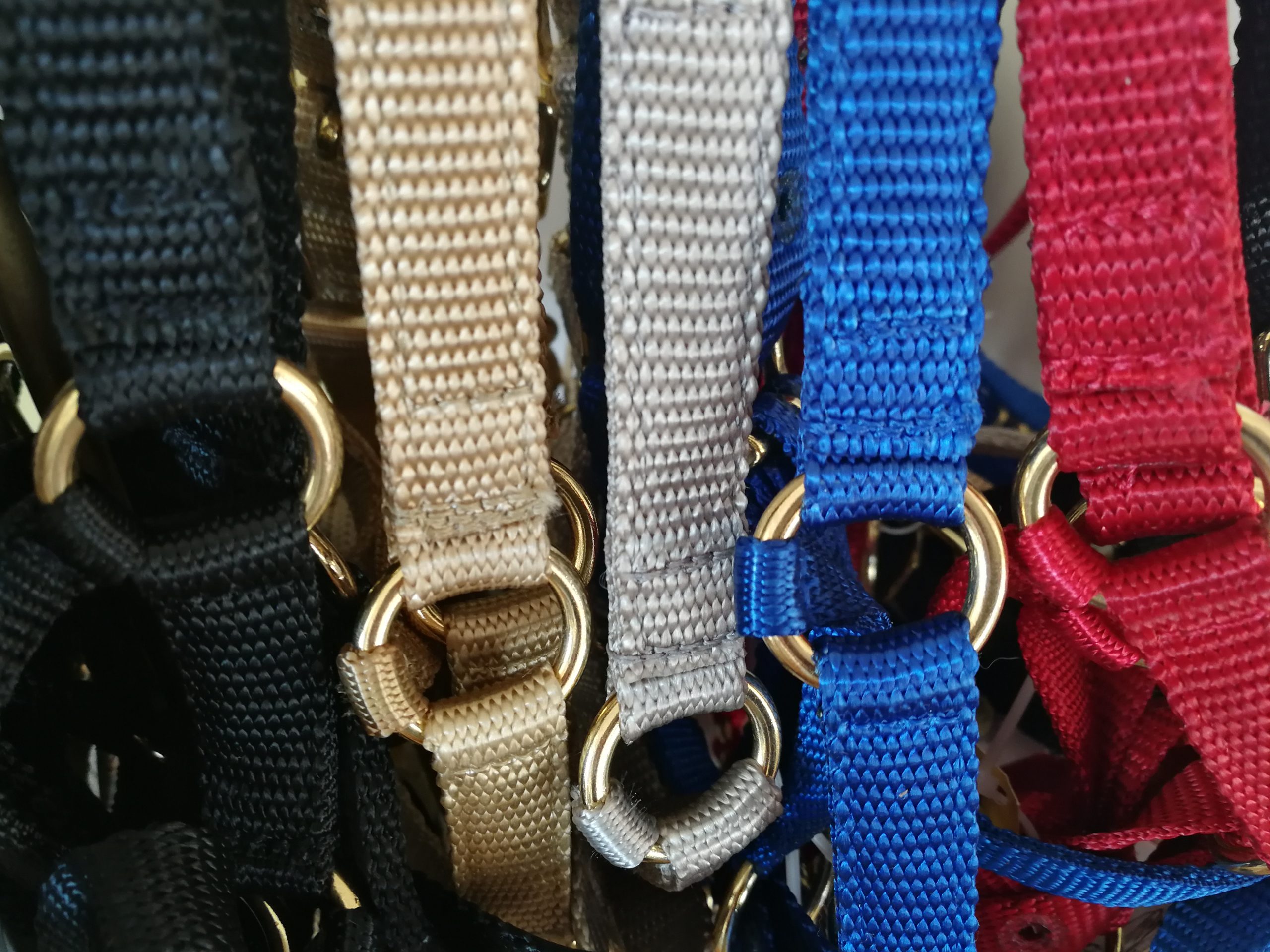 Grime fra Zephyr til alpacaer - Billede 2