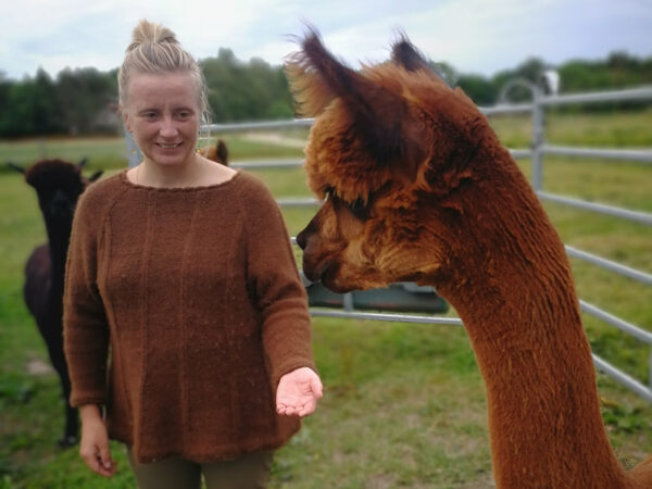 Alpaca-intro-kursus - Billede 2