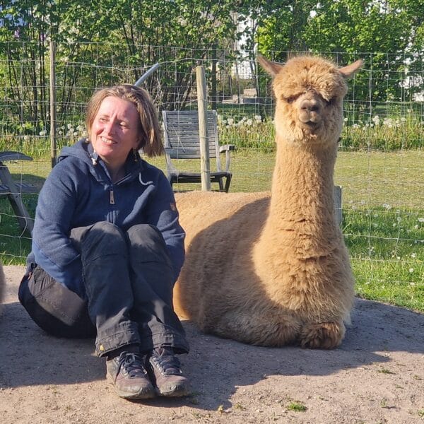 Individuelt håndterings-kursus, Alpaca - Billede 3
