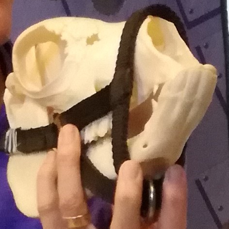 Grime fra Zephyr til alpacaer - Billede 3