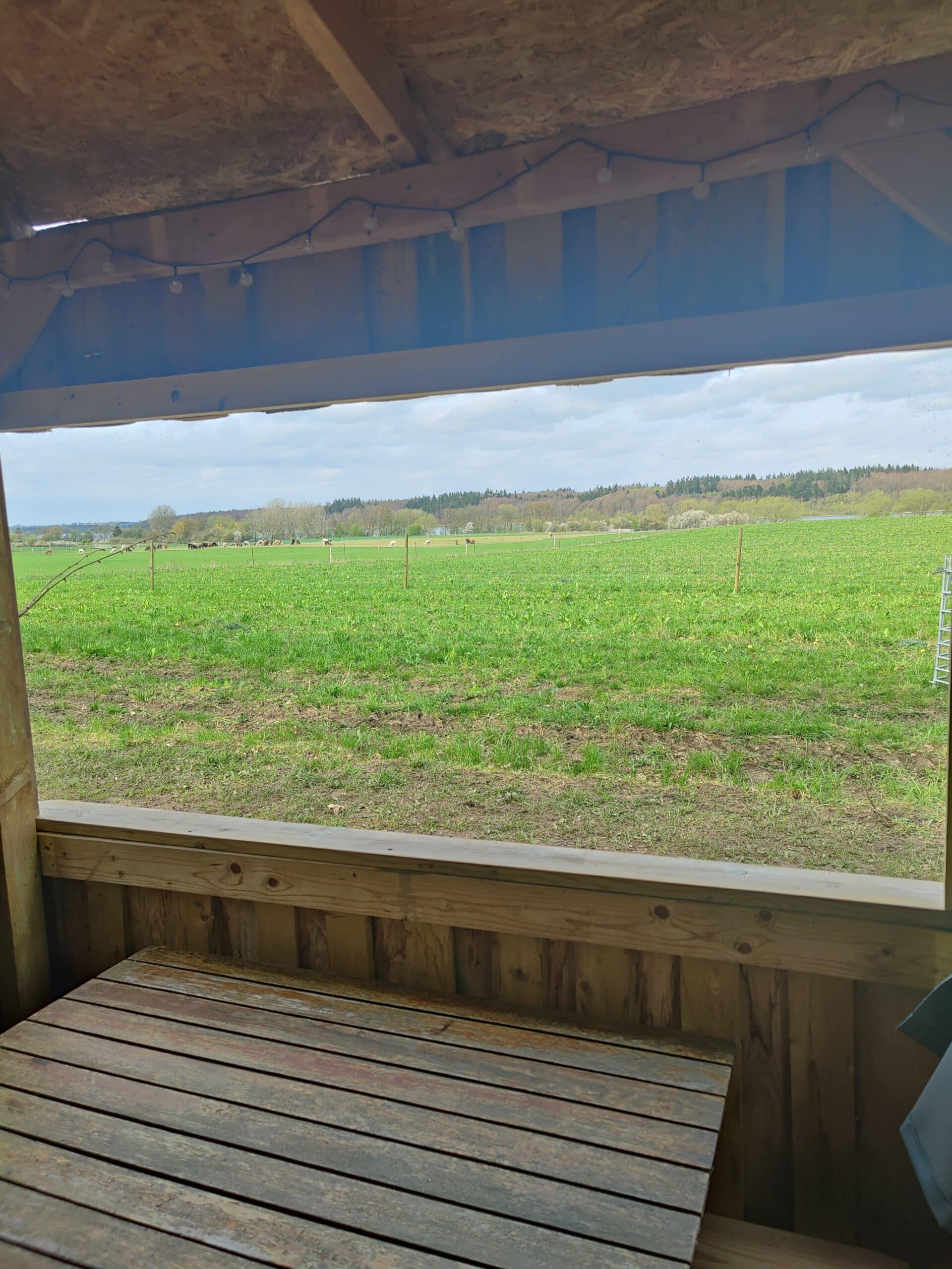 Overnatning i Alpacacamp - Billede 7