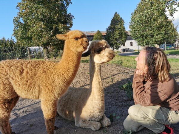 Alpaca-intro-kursus - Billede 3