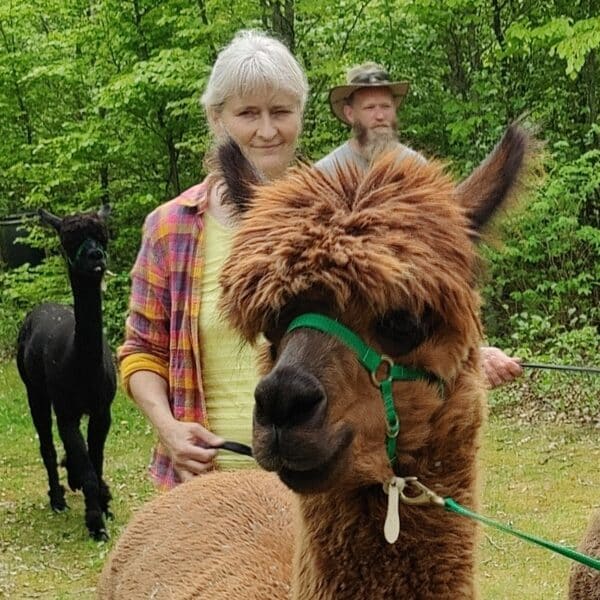 Gåtur med Alpaca - Billede 5