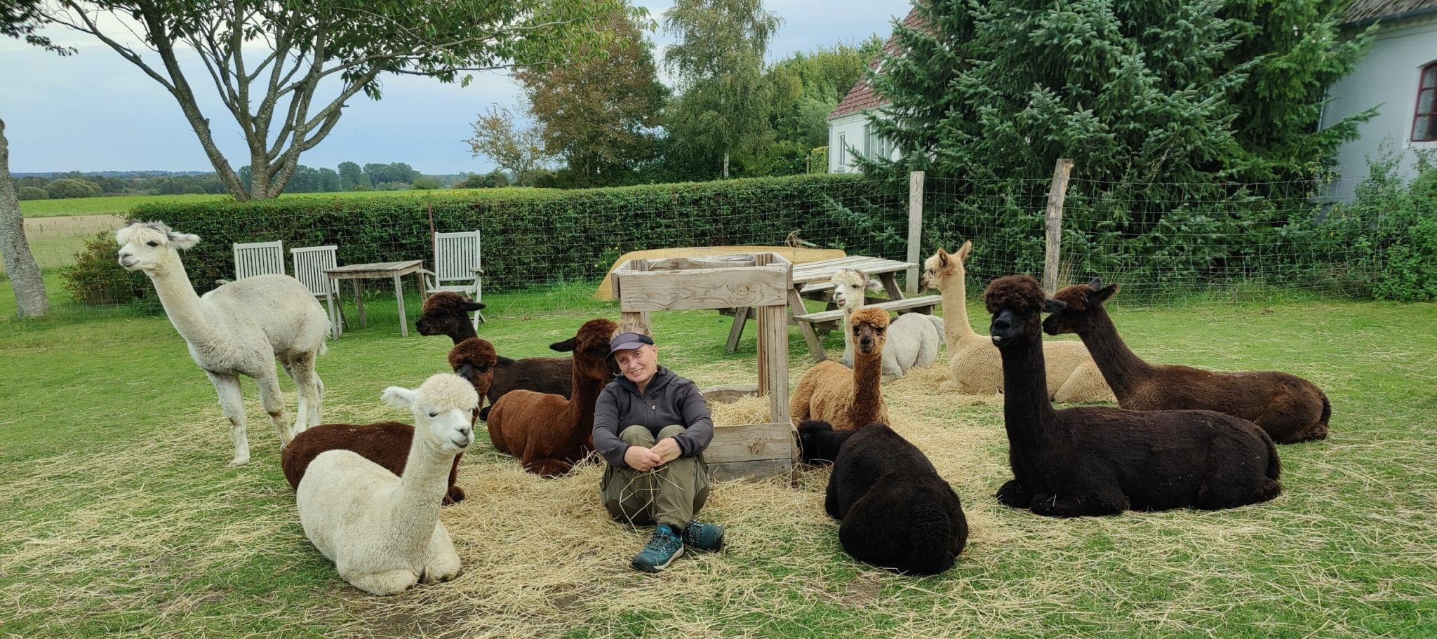 Alpati - alpacapark