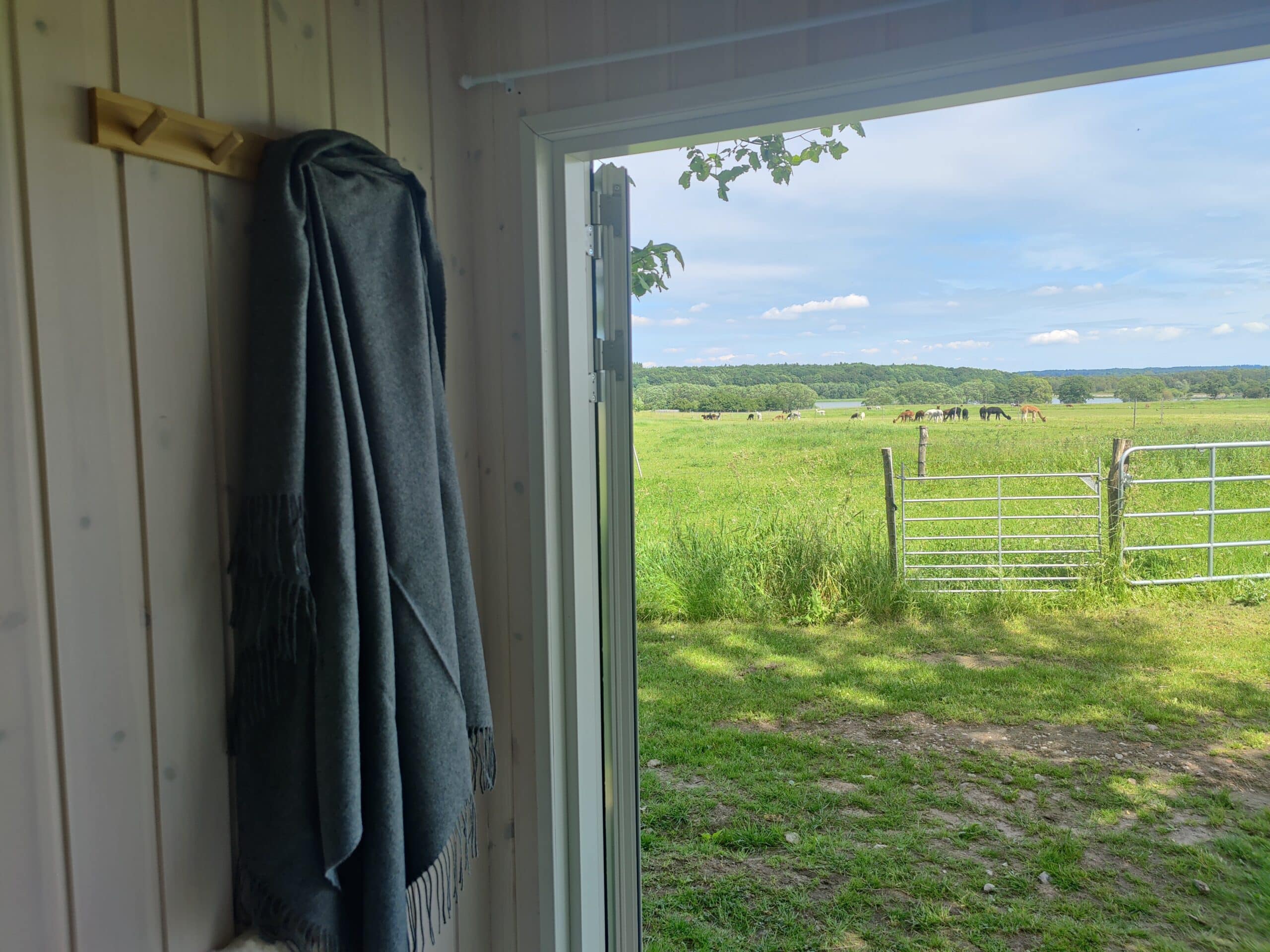 Overnatning i AlpacaHome - Billede 22