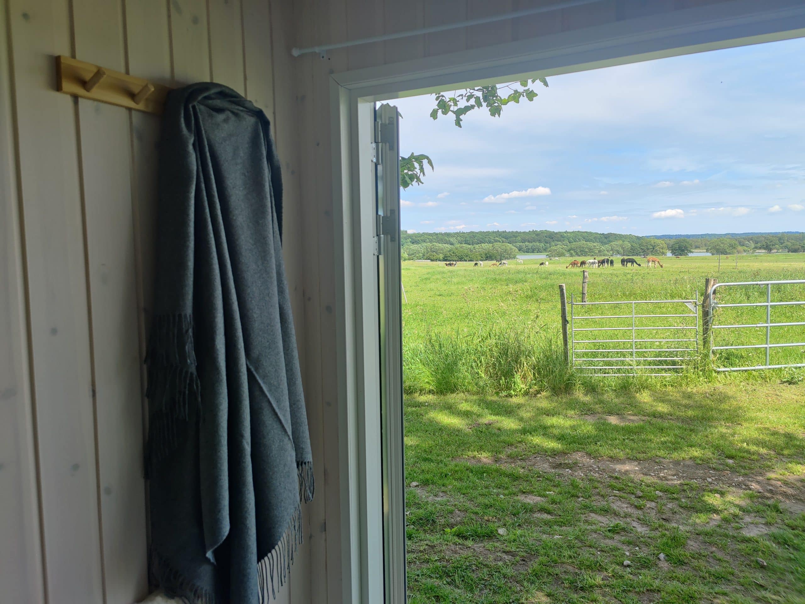 Overnatning i AlpacaHome - Billede 22