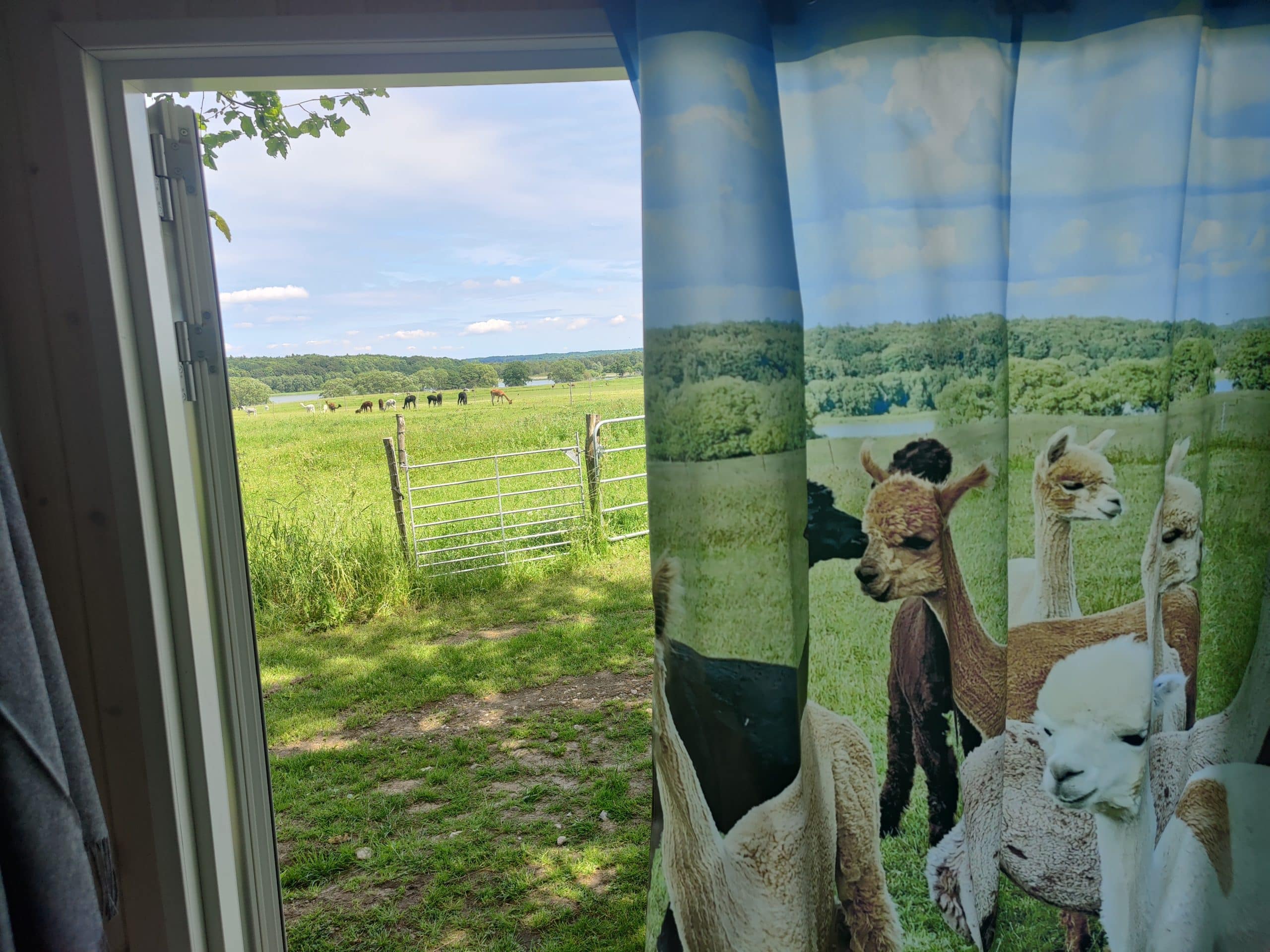 Overnatning i AlpacaHome - Billede 12