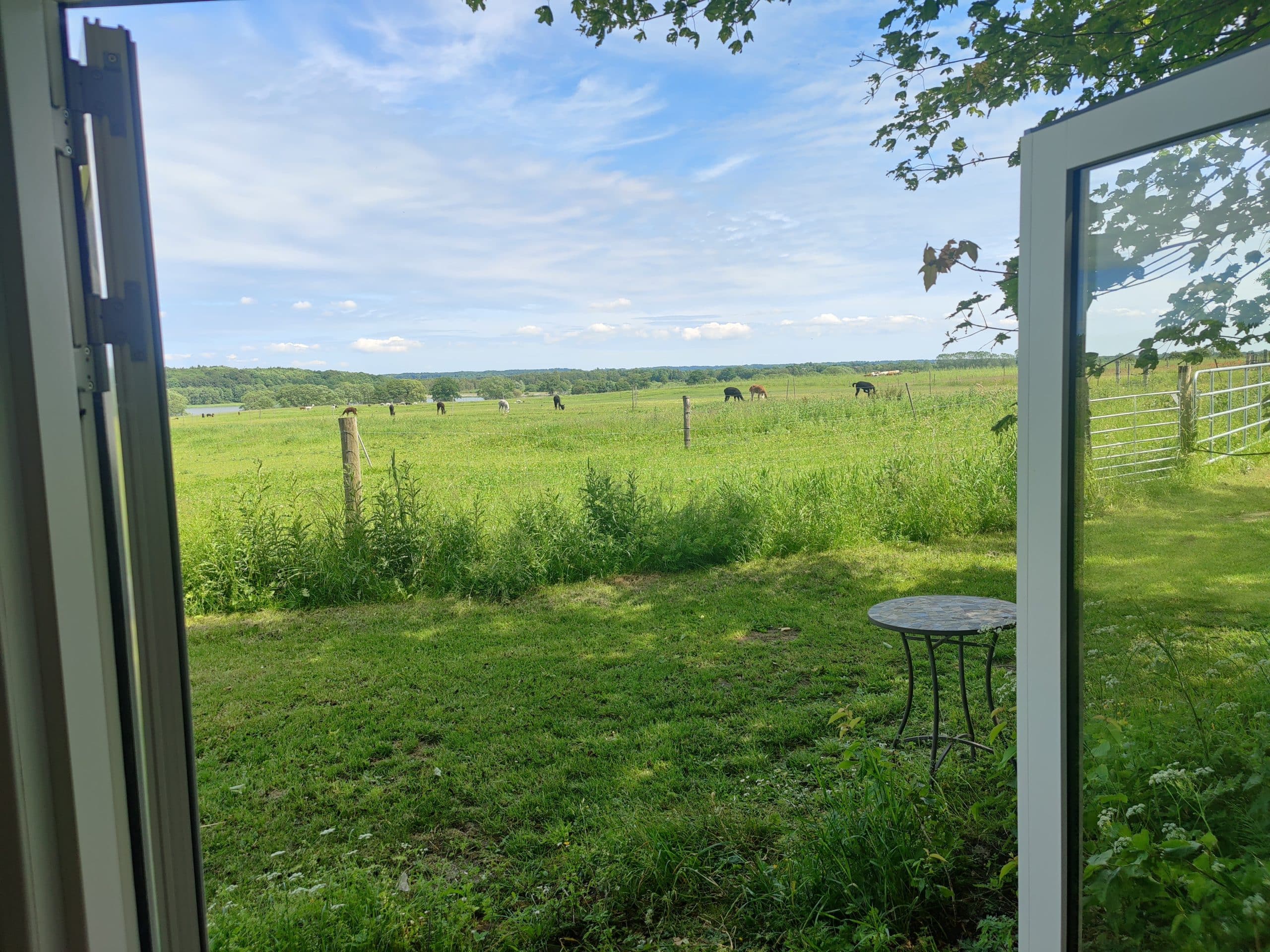 Overnatning i AlpacaHome - Billede 15