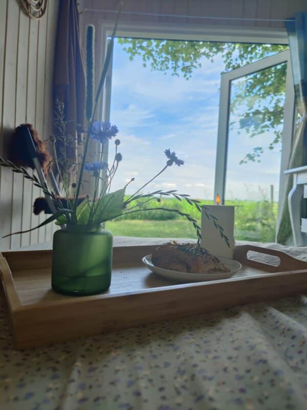 Overnatning i AlpacaView - Billede 7