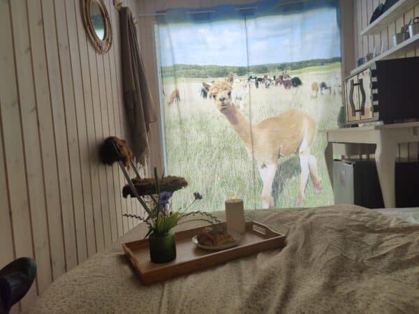 Overnatning i AlpacaView - Billede 11