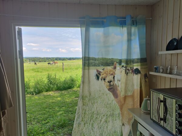 Overnatning i AlpacaView - Billede 12