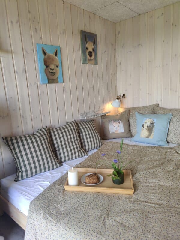 Overnatning i AlpacaView - Billede 16
