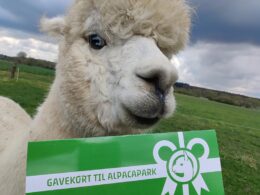 Tilkøb fysisk gavekort