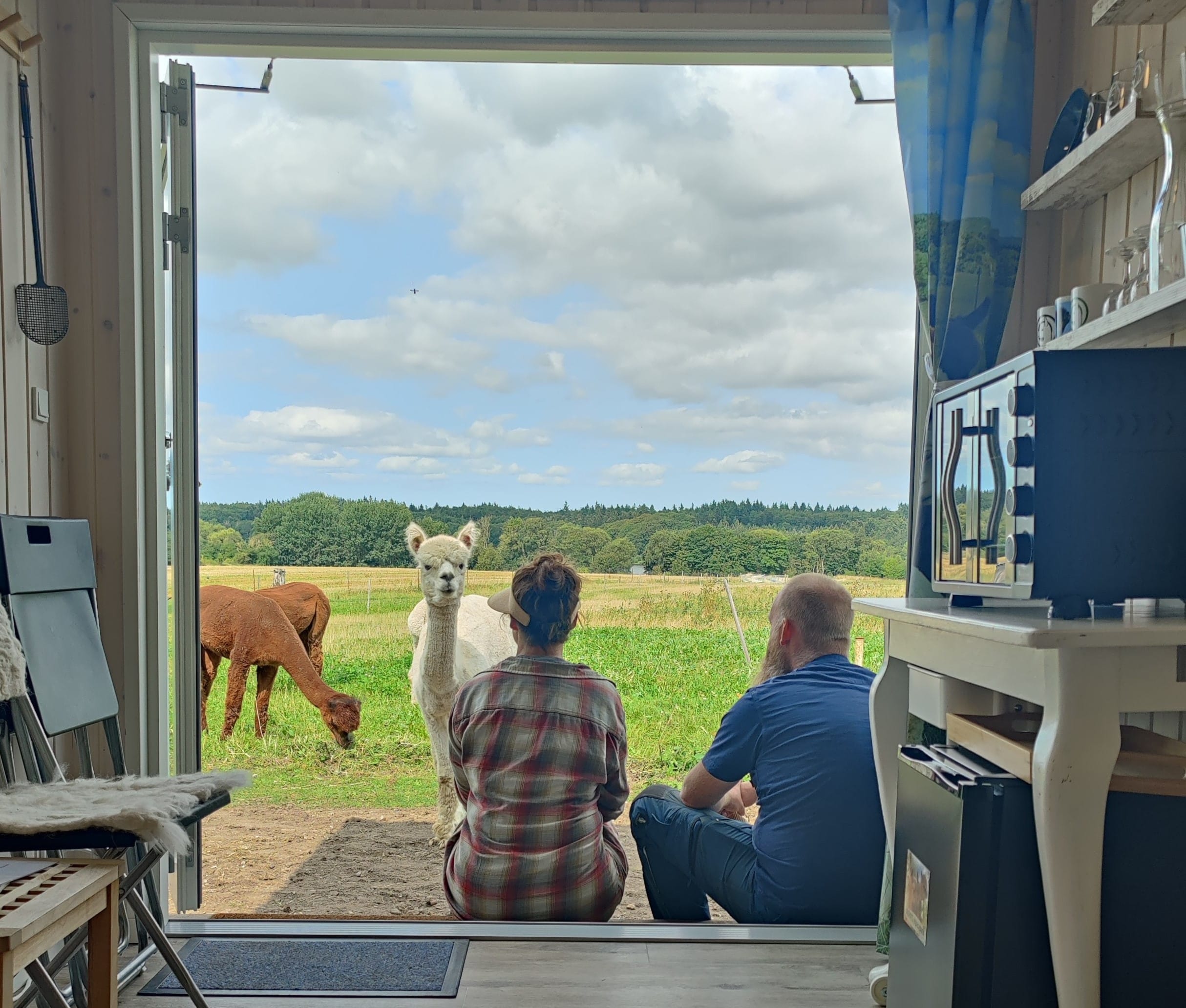 Overnatning i AlpacaHome - Billede 9