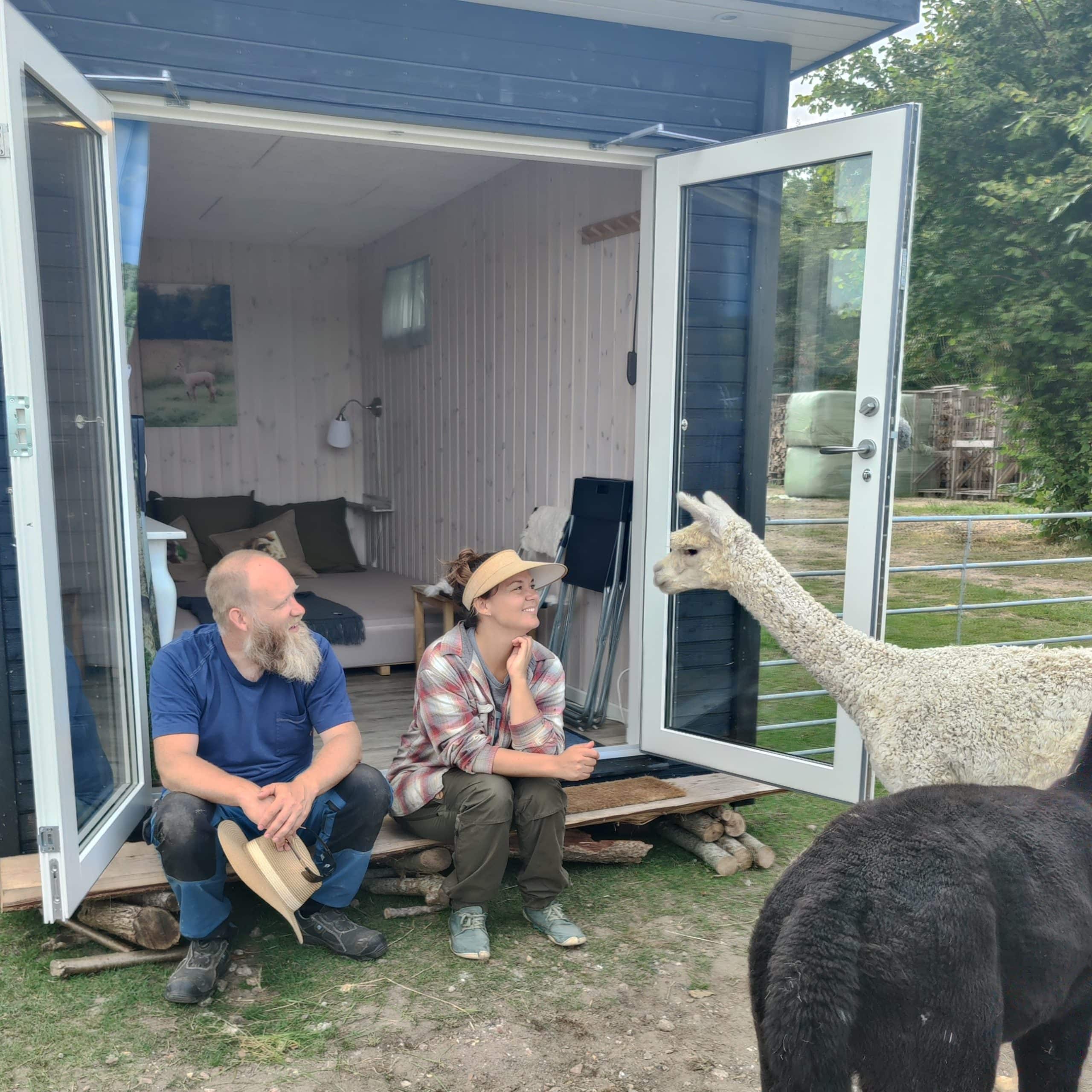 Overnatning i AlpacaHome - Billede 4