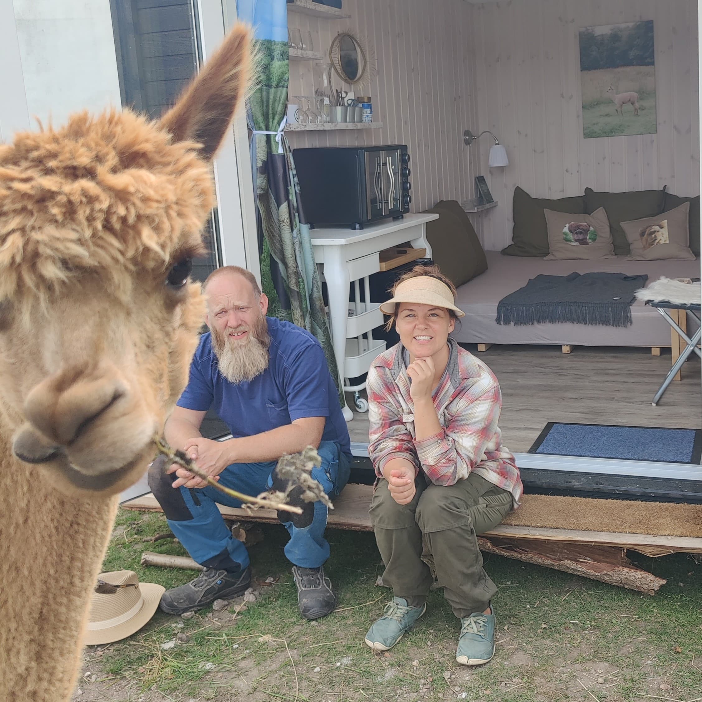 Overnatning i AlpacaHome - Billede 17