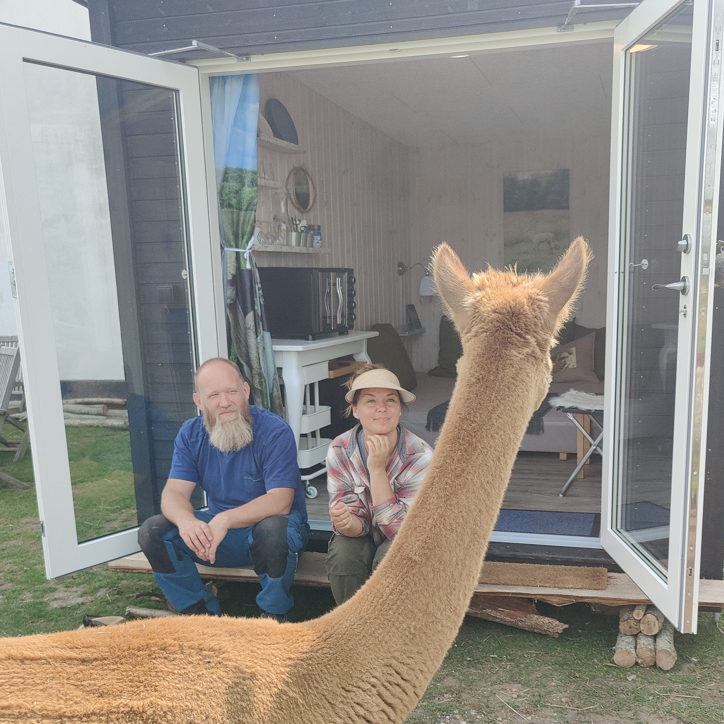 Overnatning i AlpacaHome - Billede 10