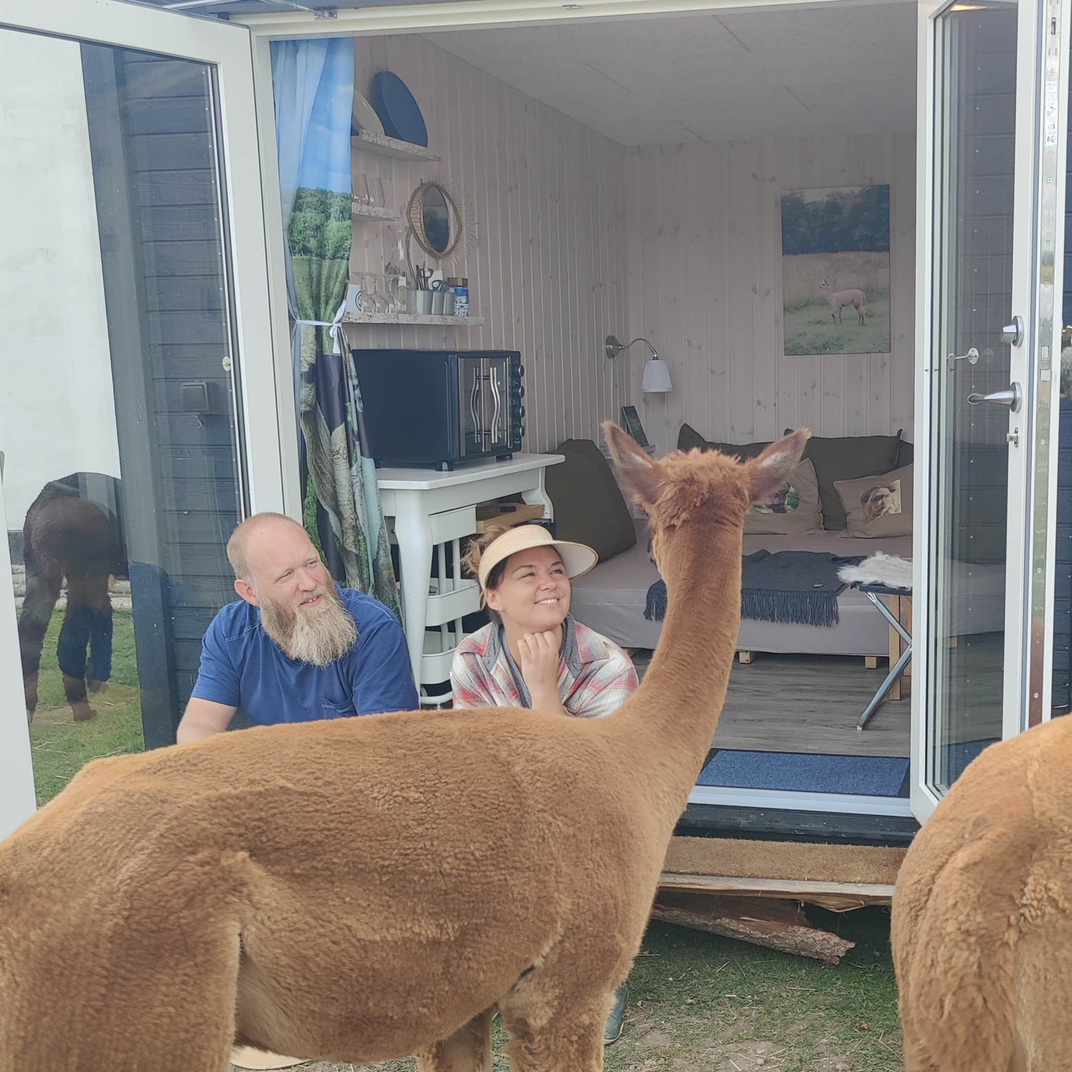 Overnatning i AlpacaHome - Billede 7