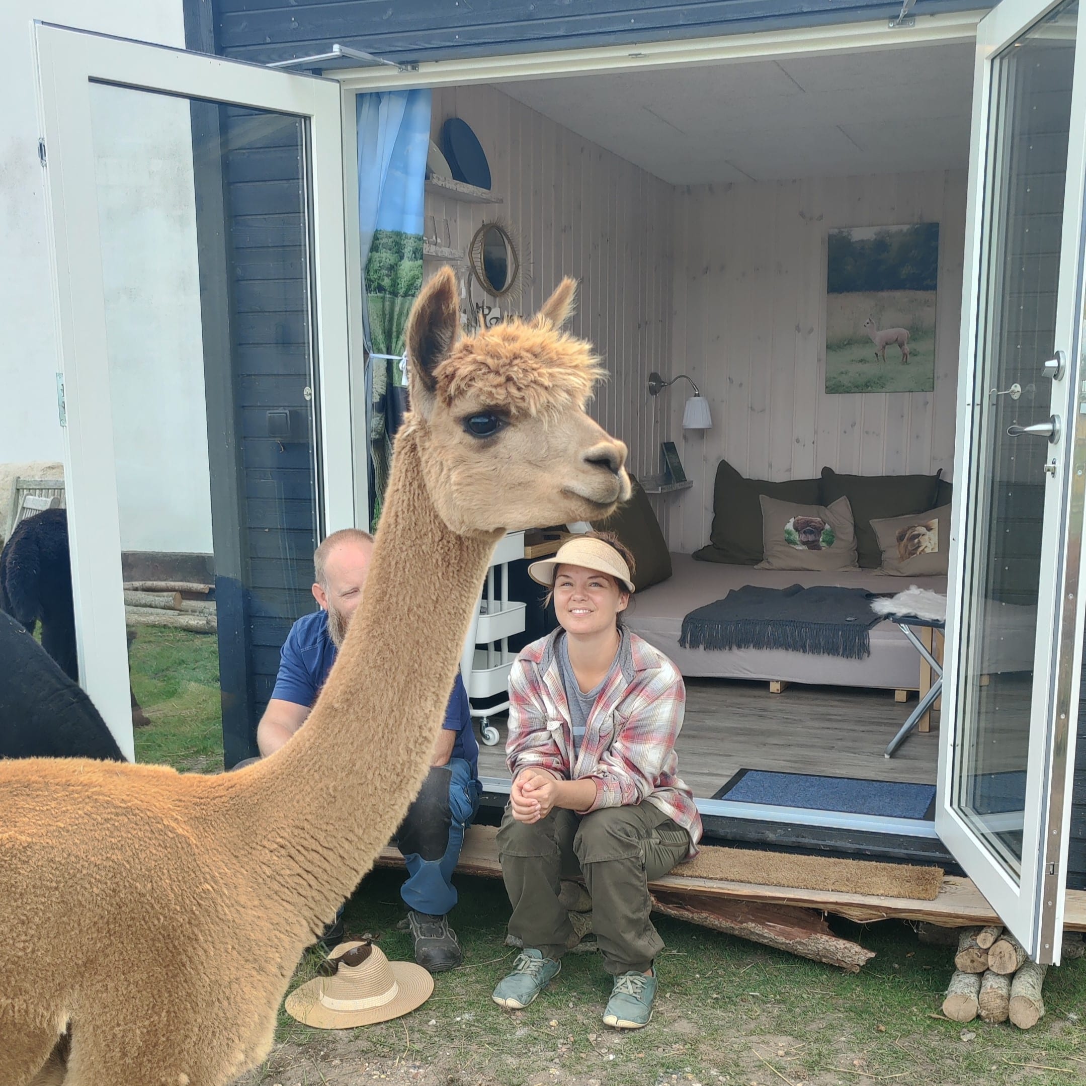 Overnatning i AlpacaHome - Billede 19