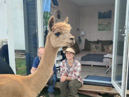 Overnatning i AlpacaHome