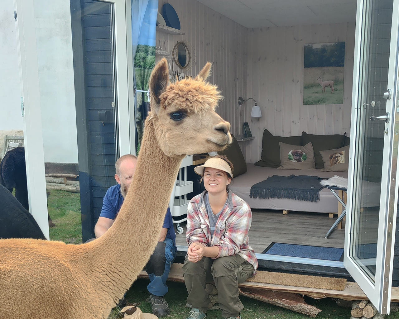 Overnatning i AlpacaHome