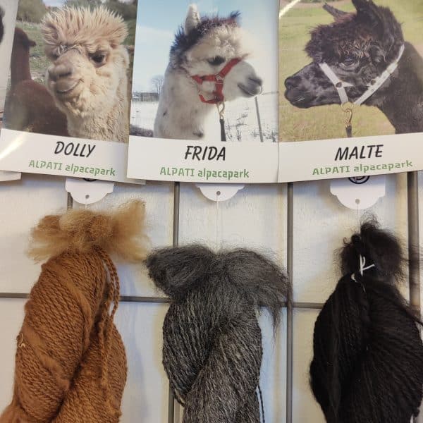 Garn fra Alpacapark´s alpacaer "VILD UNIK" - Billede 4