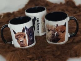 Krus fra Alpacapark