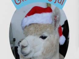 Advents kalender fra Alpacapark