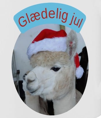 Advents kalender fra Alpacapark