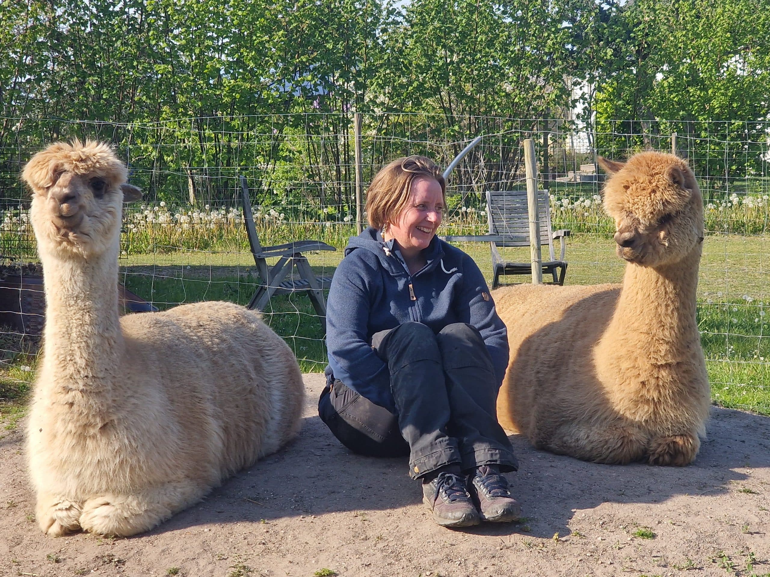 ALPATID – Alpaca assisteret nærværs træning 1:1 - Billede 2
