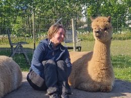 ALPATID – Alpaca assisteret nærværs træning 1:1