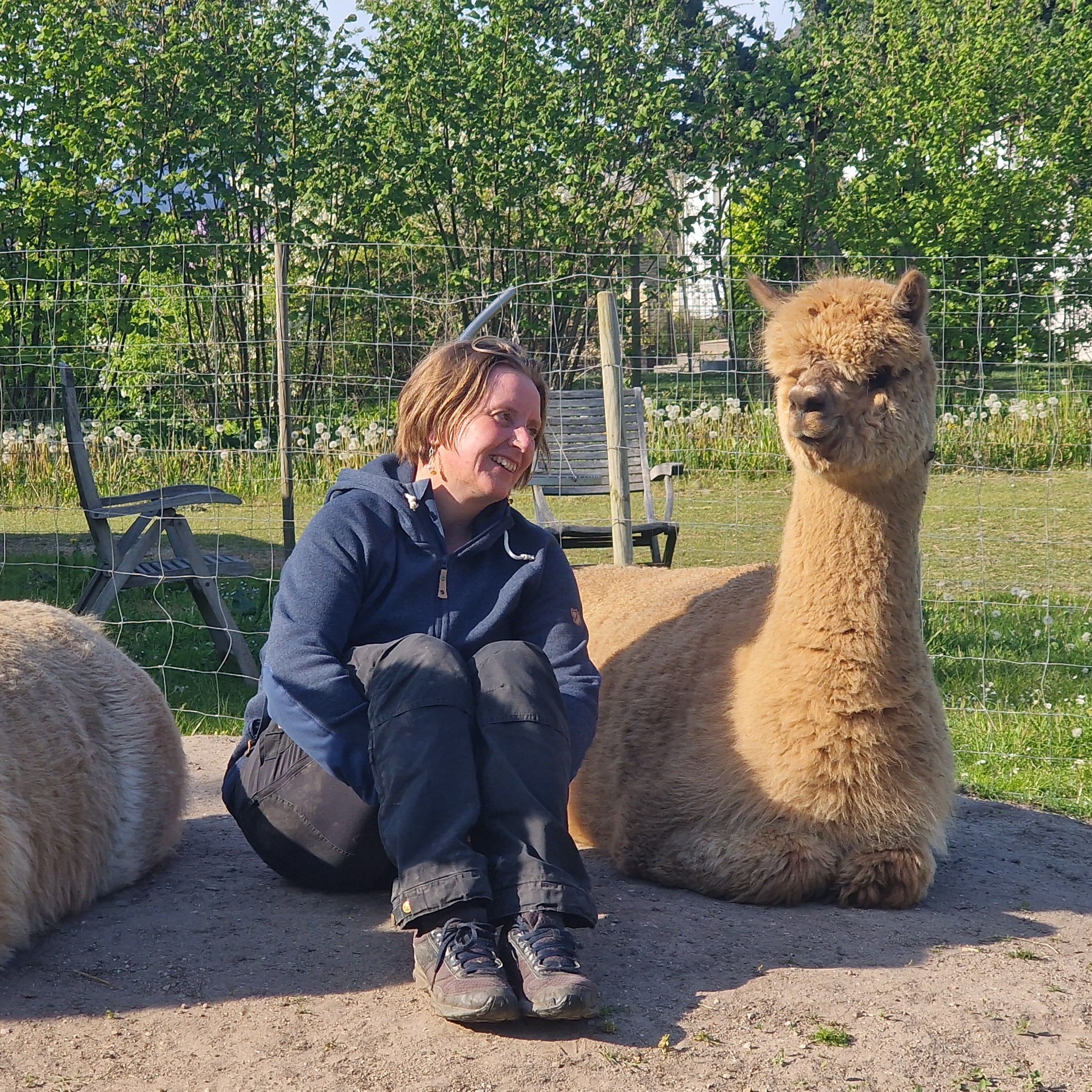ALPATID – Alpaca assisteret nærværs træning 1:1