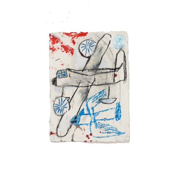 Flying Fish by Teddy Hansen