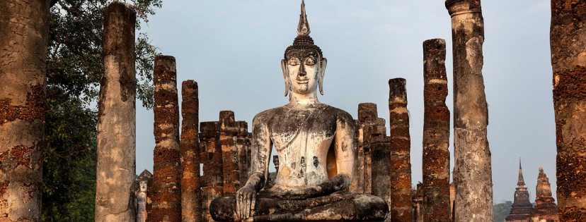 Fietsen door de rijstvelden in Sukhothai