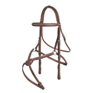 Ren Mexican bridle w embroidery