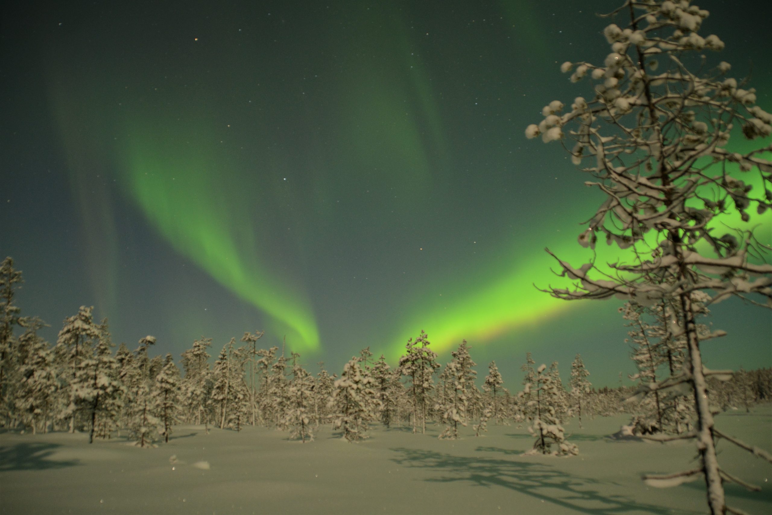 Auroras in Snowmobile safari