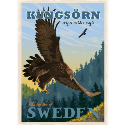 Poster Kungsörn