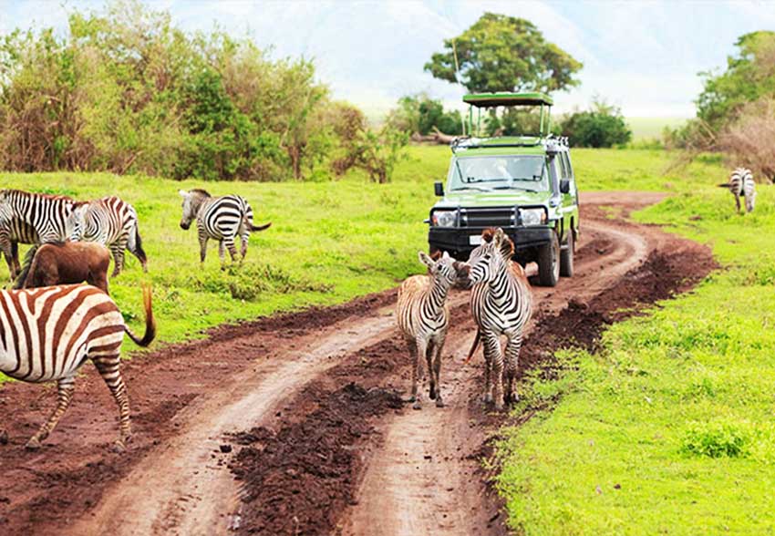 Arusha National park tours