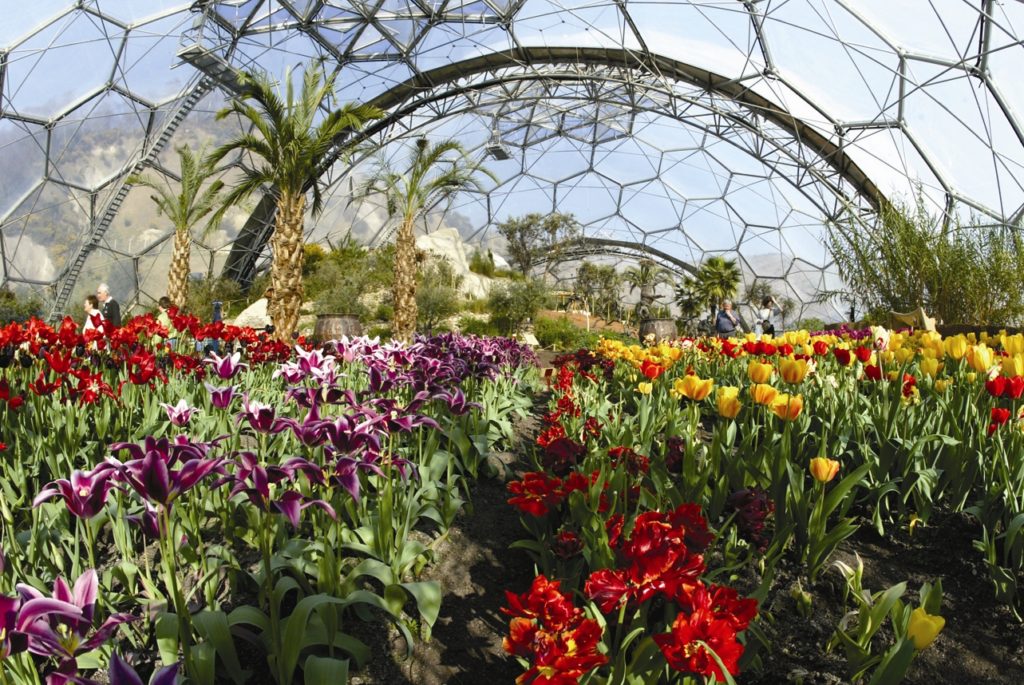 Eden Project Eden Project