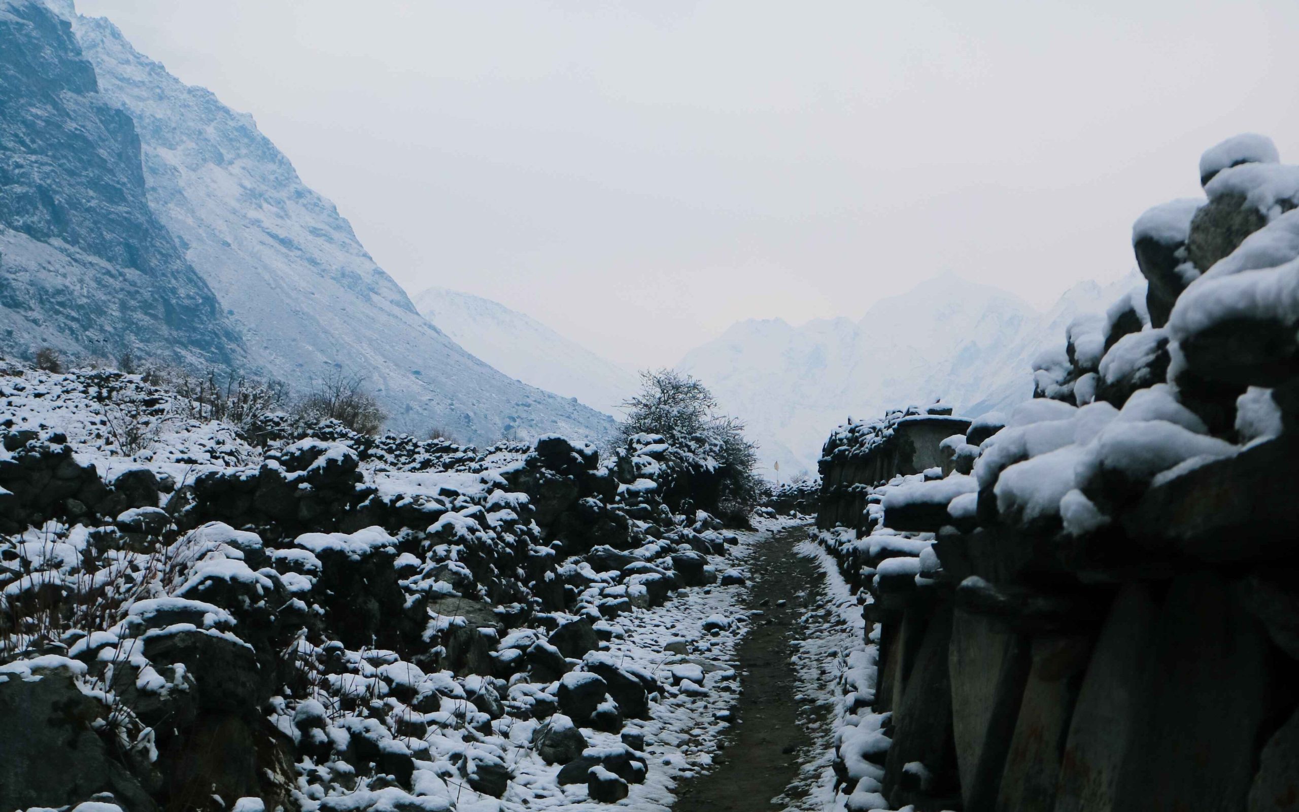 Outside Langtang Village, Wall with Buddhist inscriptions