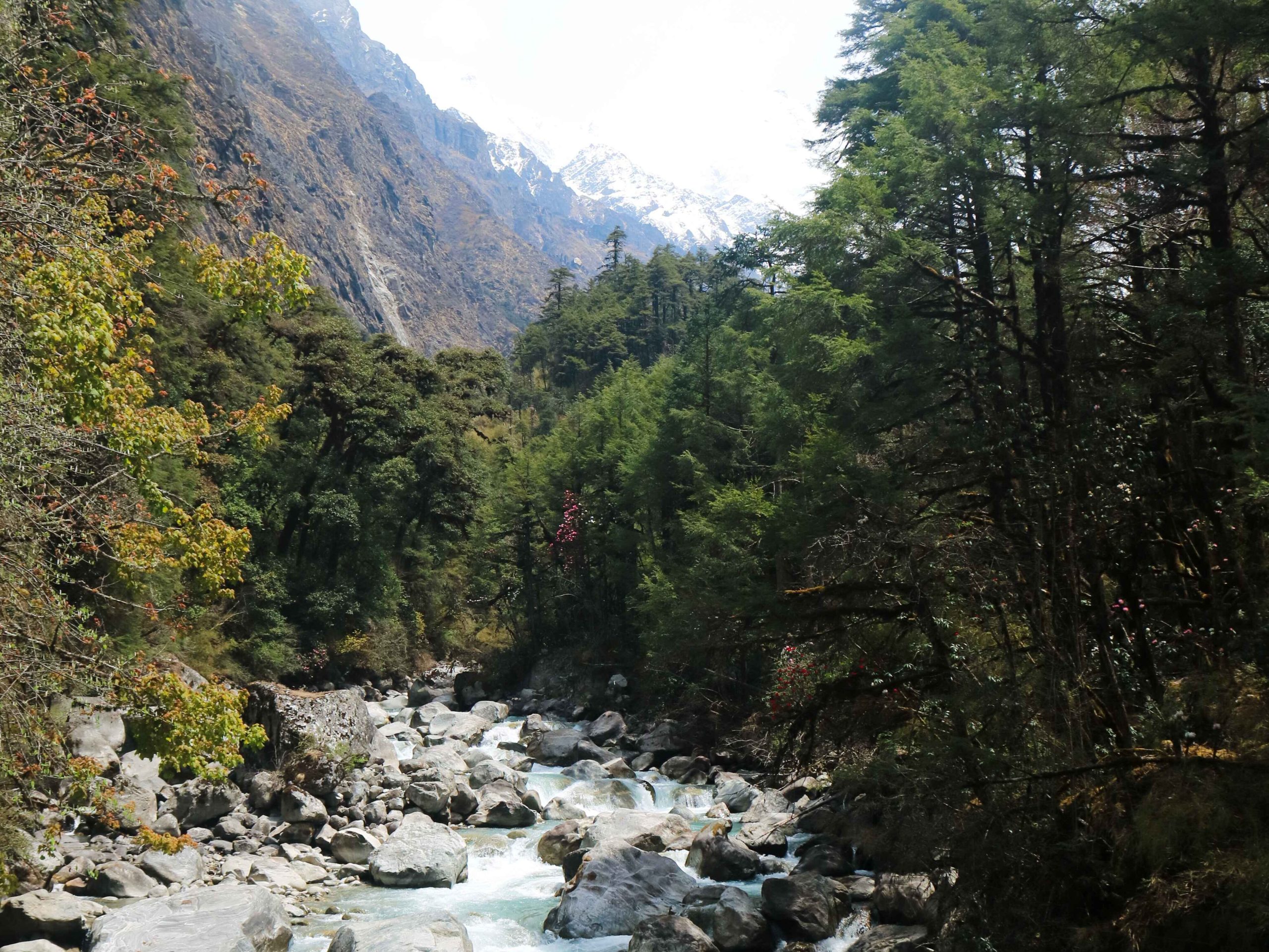 River on the way down from Langtang