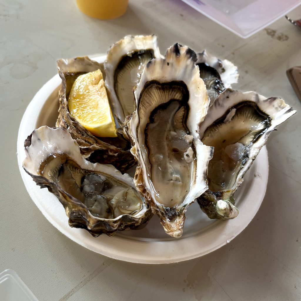 Oysters at Marché Gourmande in Belvès