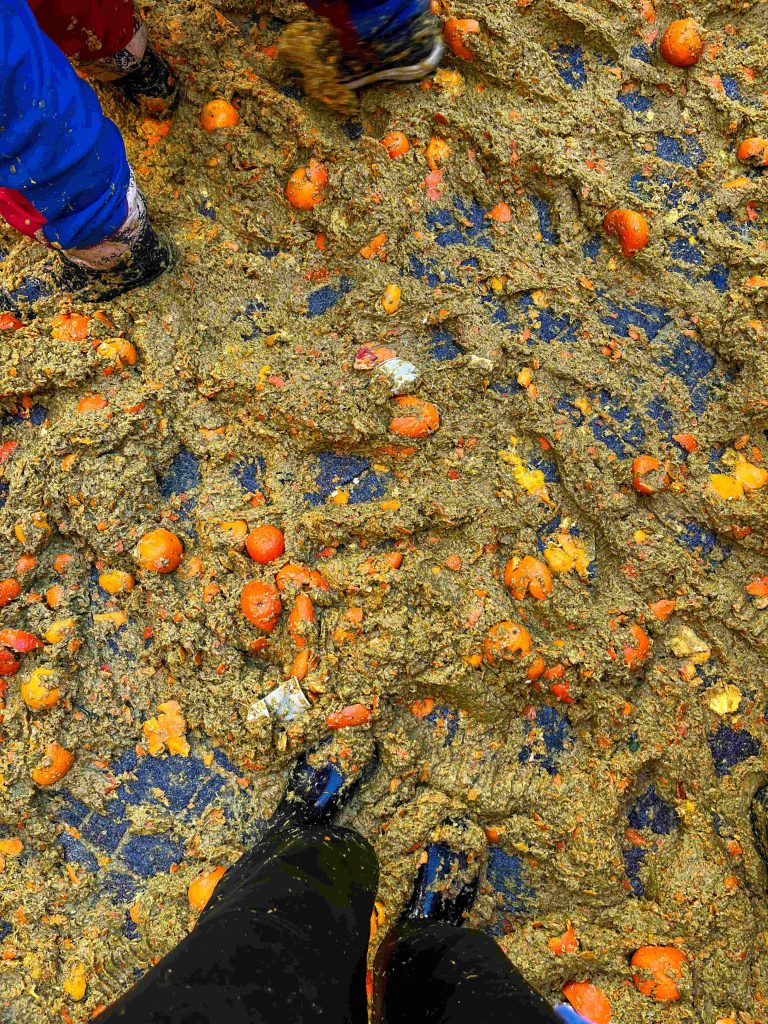 Orange mud, Carnival Ivrea, Italy