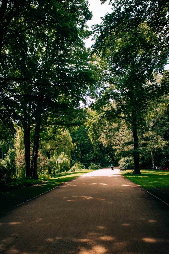 Tiergarten Path - Berlin in The Summer: Top 15 Best Things To Do in Berlin