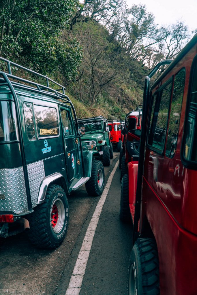 A Mount Bromo Travel Guide with Gluten Free Tips A Mount Bromo Travel Guide with Gluten Free Tips - Bromo
